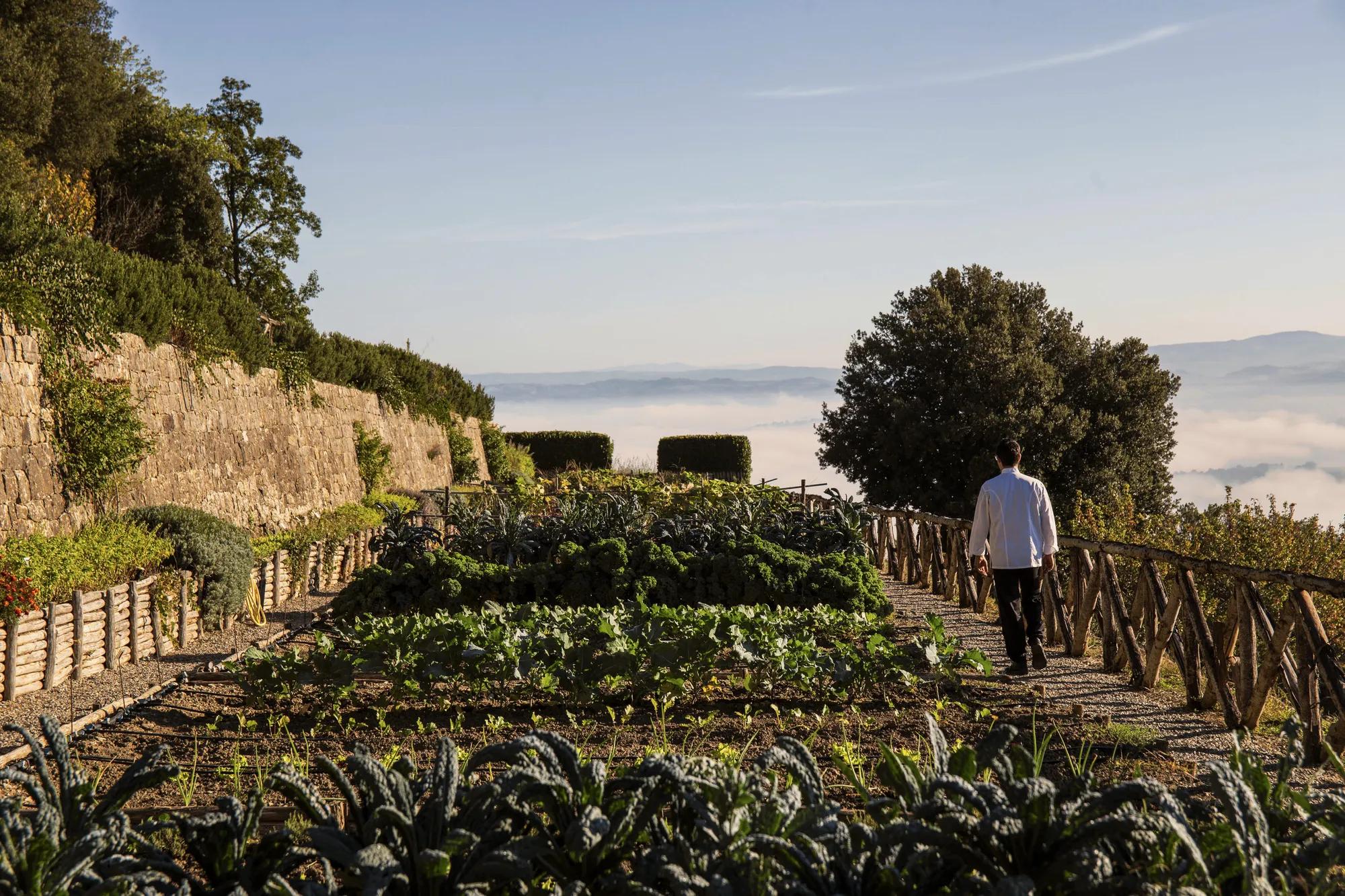 Rosewood Castiglion del Bosco organic kitchen garden with the executive chef.