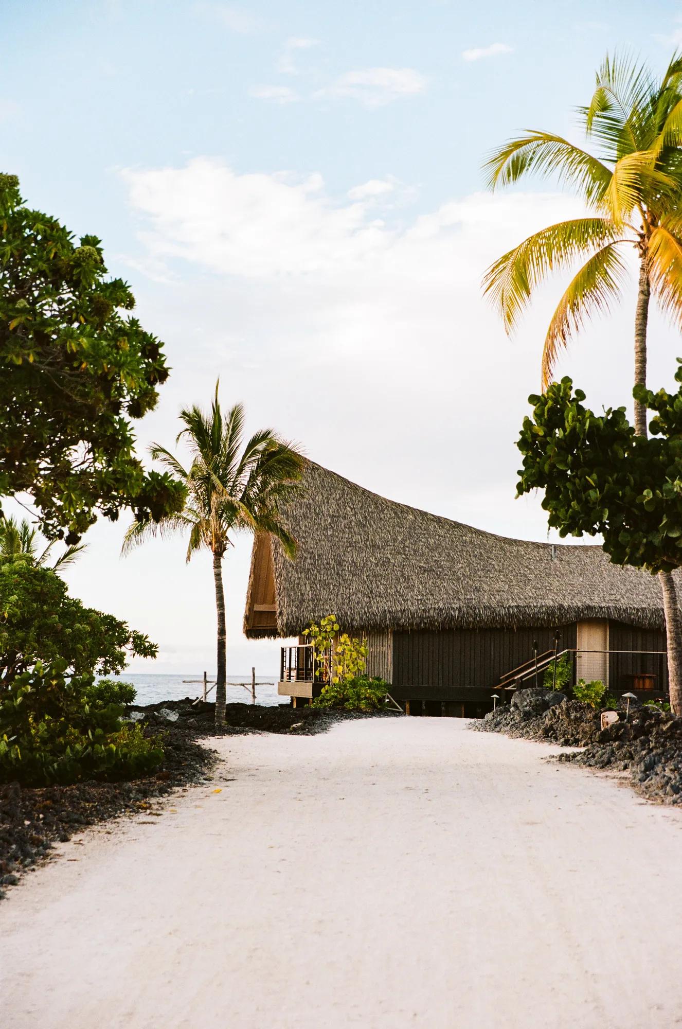 White coral path leads to a legacy hale surrounded by palm trees
