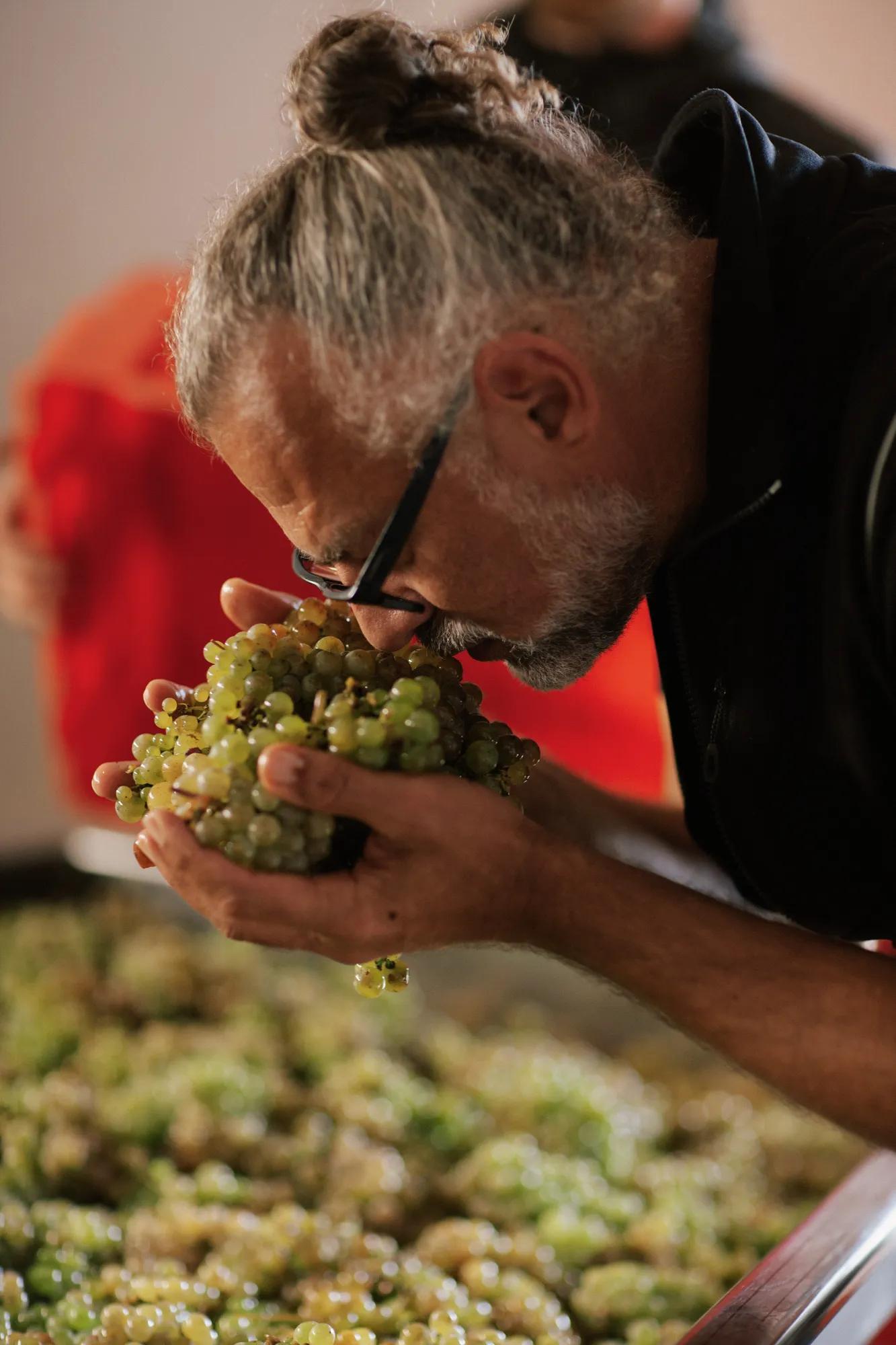 ‘Meet the Vintner’ Tour