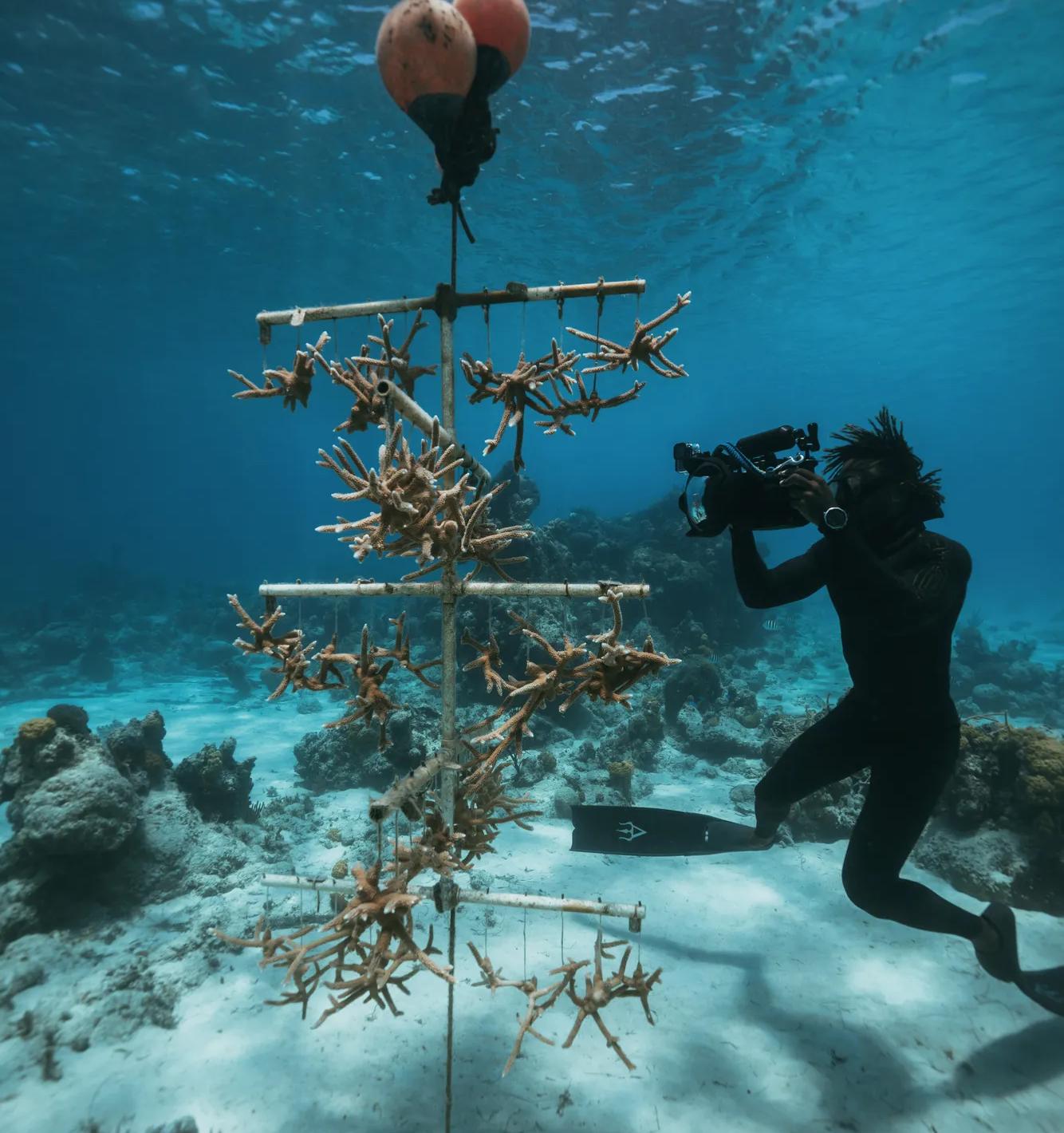 RWImpacts Sustains BREEF 026