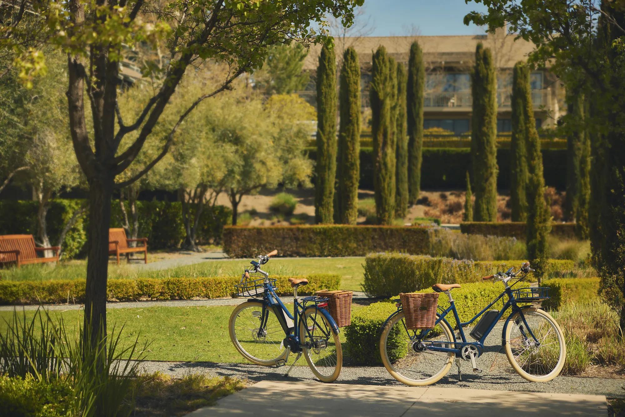 Experiences BlueJayBikes CypressTress