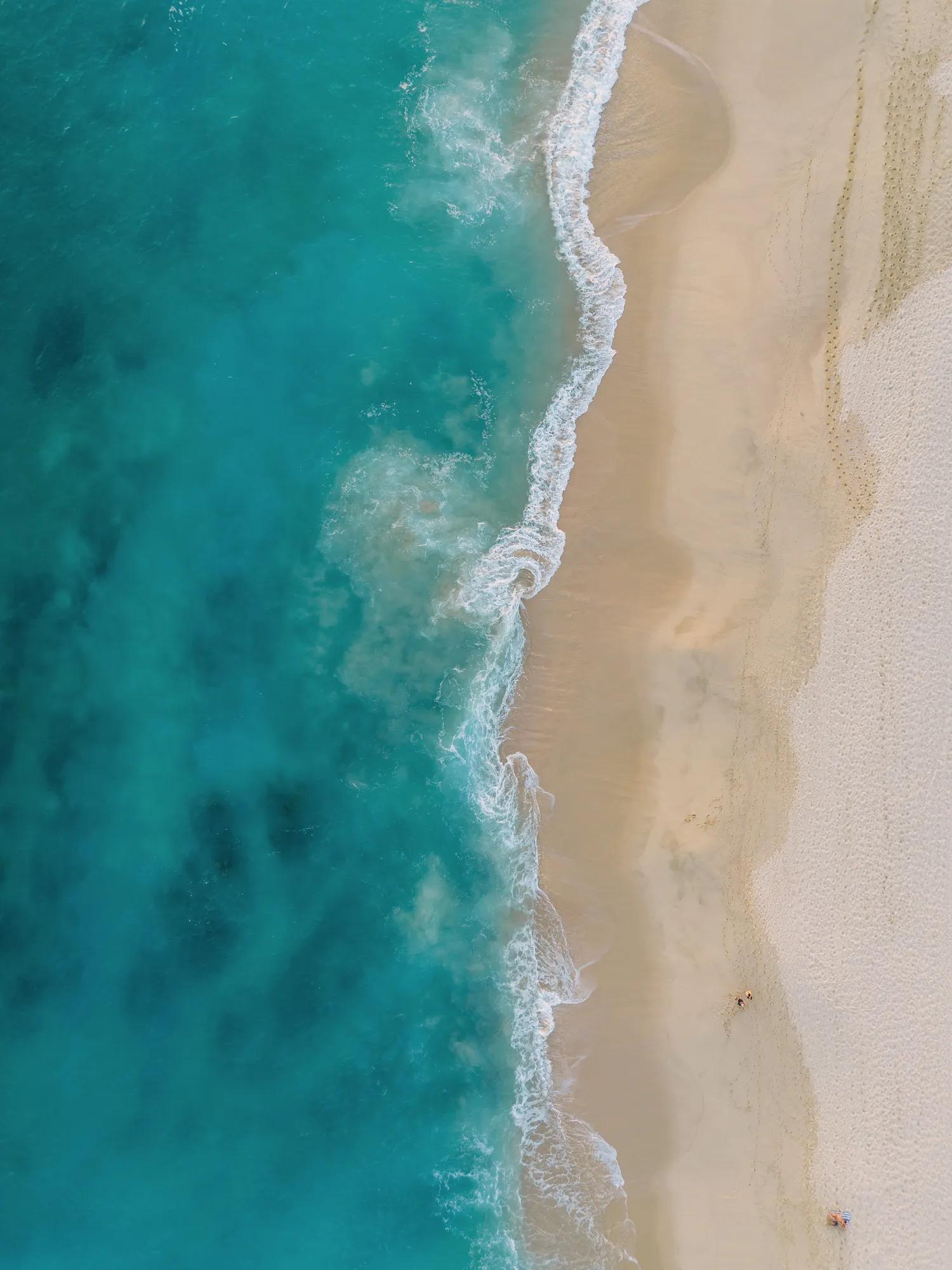A couple riding a Razor off-road vehicle along the Sea of Cortez shoreline at sunset, with golden light reflecting on the water and sand