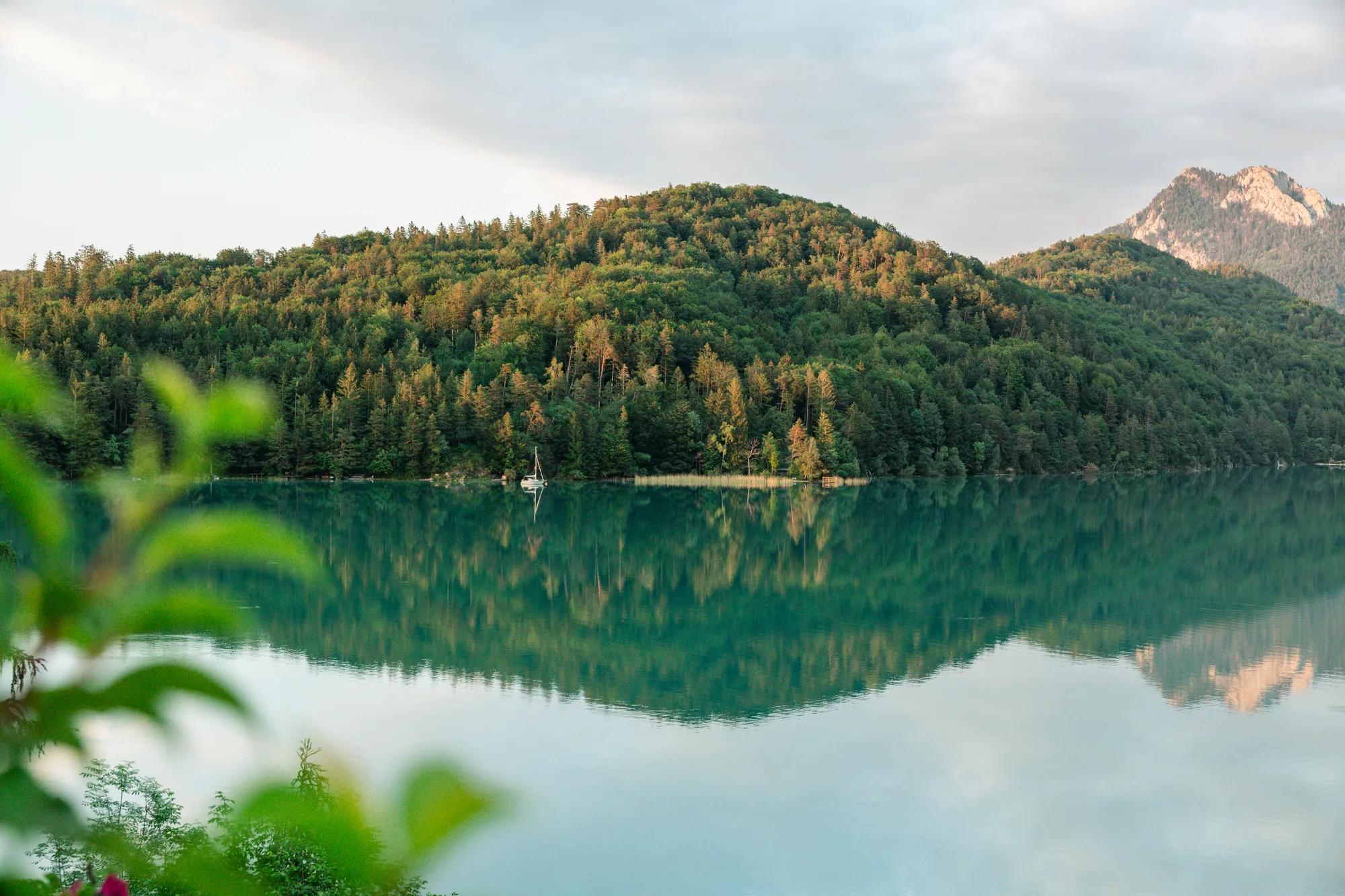 aeriel-image-lake-fuschl
