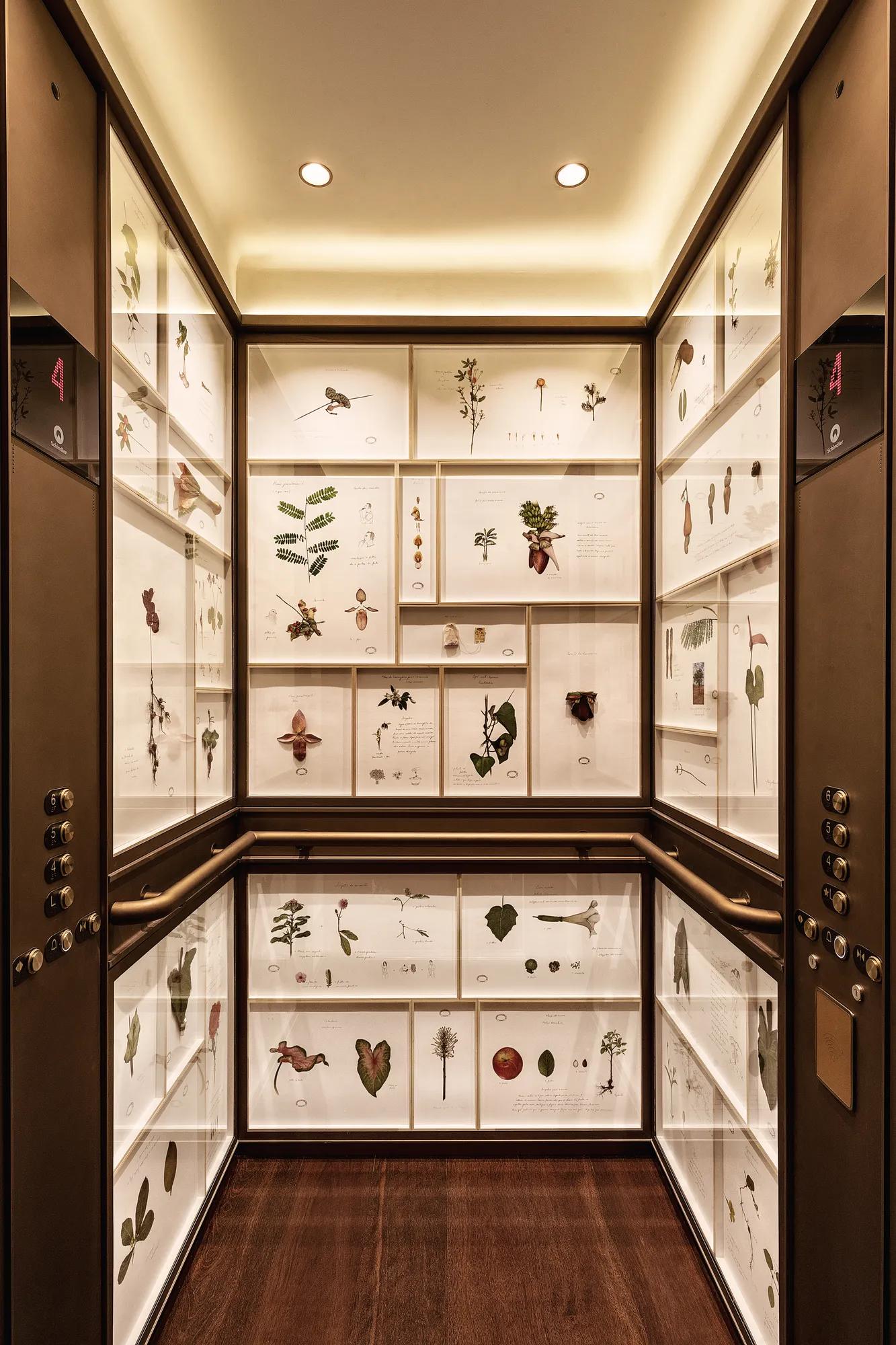 Botanical-themed elevator at Rosewood São Paulo, featuring framed plant illustrations and specimens on the walls with warm lighting and wood finishes.