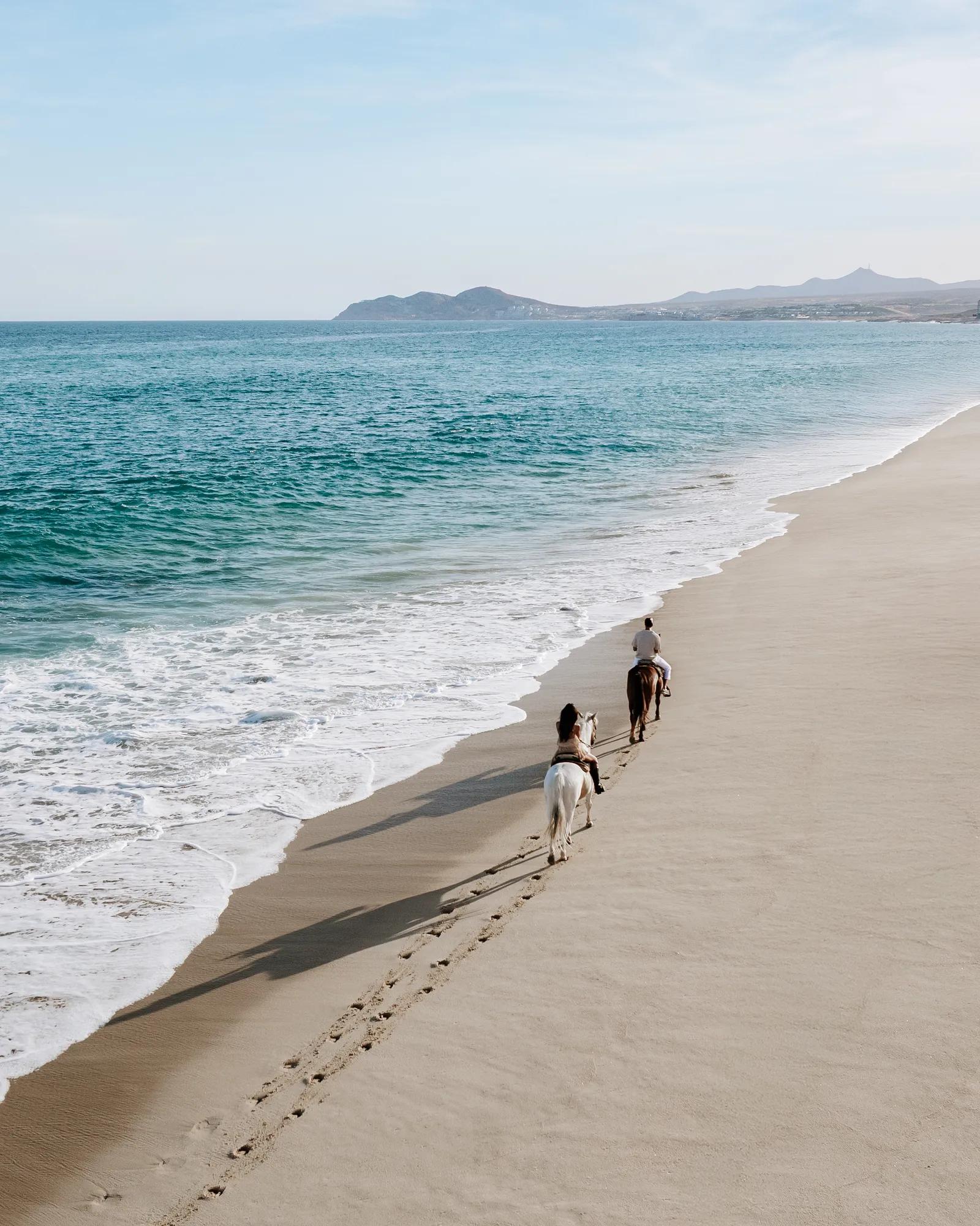 Horseback Riding on the Beach in los cabos