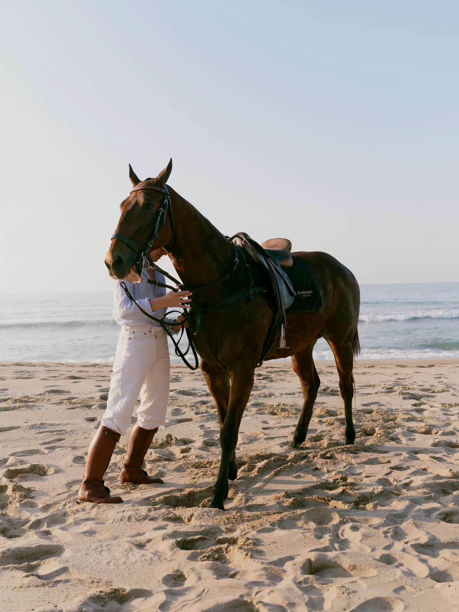 Horse and person in the stable